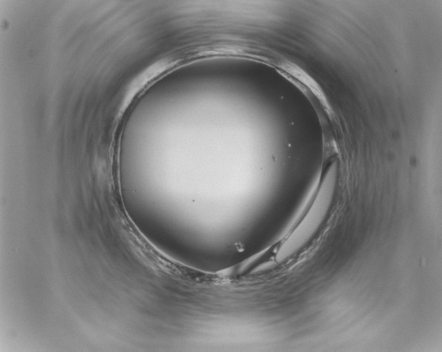 X0000059231146200510281859