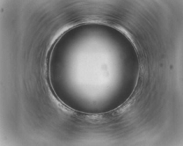 X0000059231147200510281859