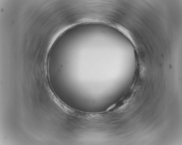 X0000059231148200510281859