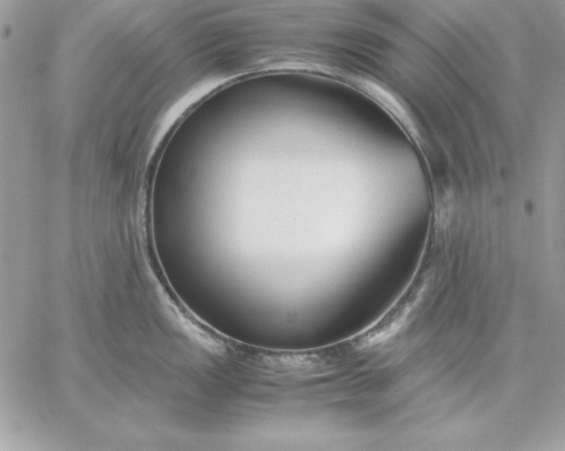 X0000059231149200510281859