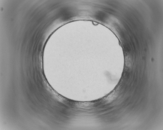 X0000059231150200510281859