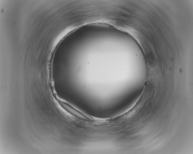 X0000059231151200510281859