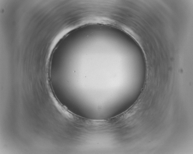 X0000059231152200510281859