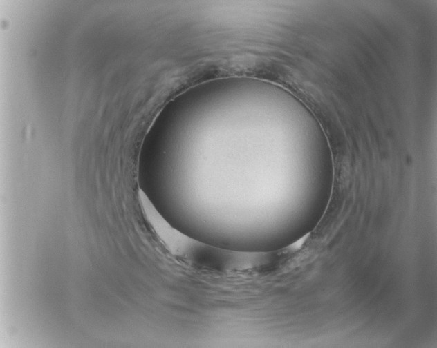 X0000059231153200510281858