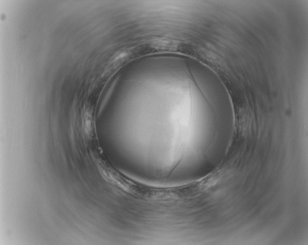 X0000059231154200510281858