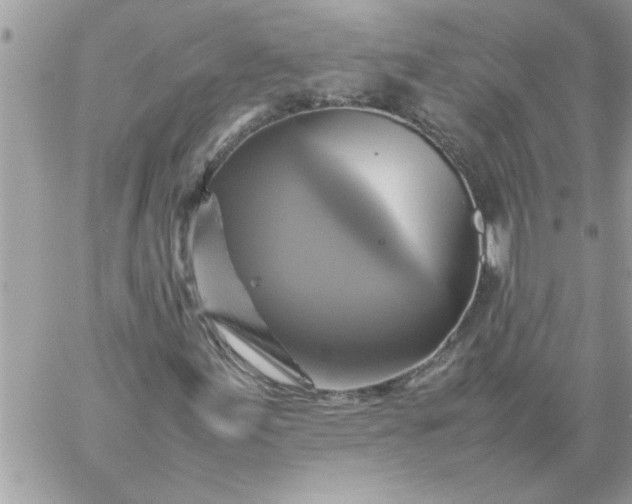 X0000059231155200510281858