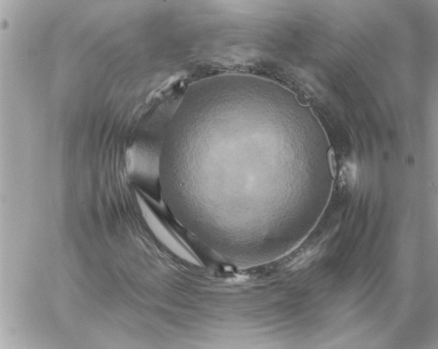 X0000059231156200510281858