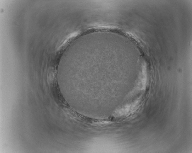 X0000059231157200510281858