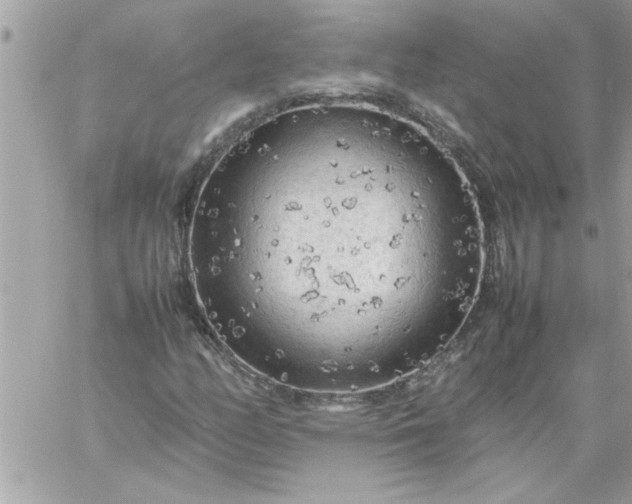 X0000059231158200510281858