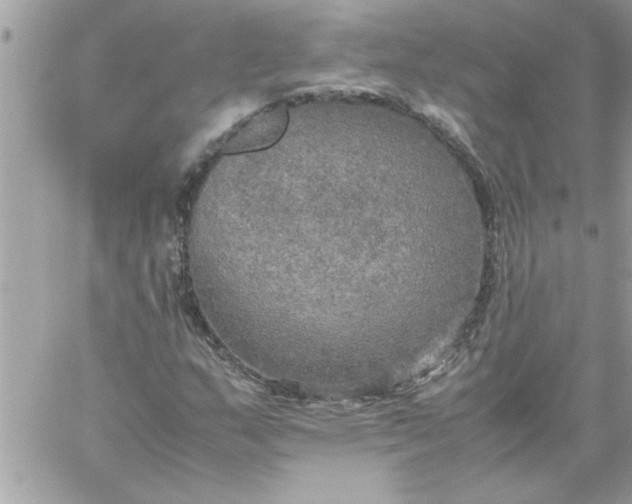 X0000059231159200510281858