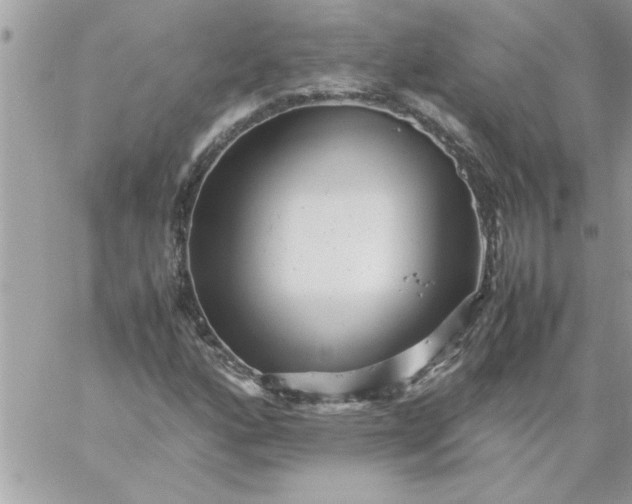 X0000059231160200510281858