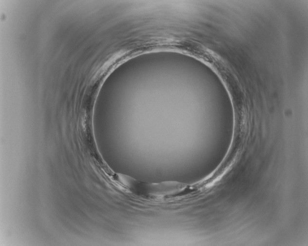 X0000059231161200510281858