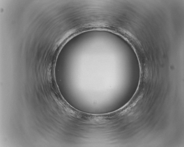 X0000059231162200510281858