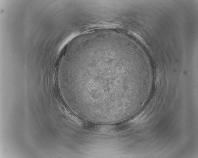 X0000059231163200510281858