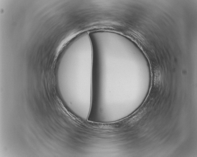 X0000059231164200510281858