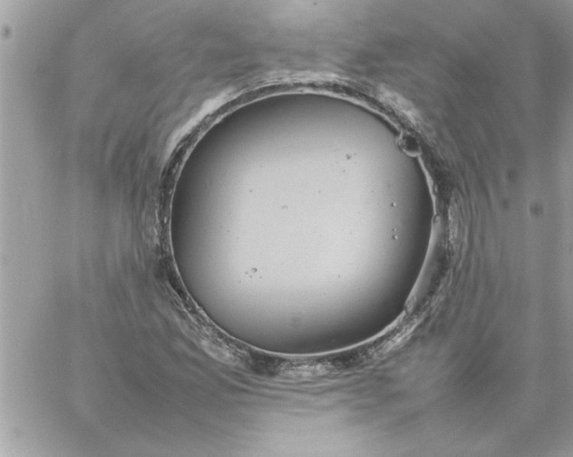 X0000059231165200510281858