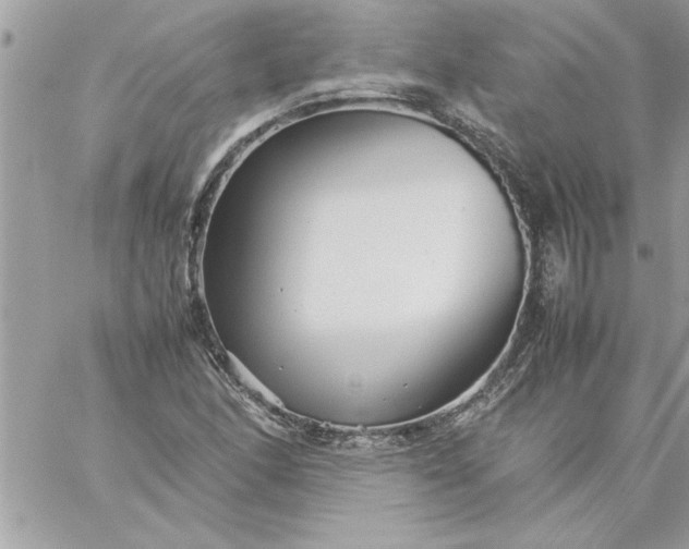 X0000059231166200510281858