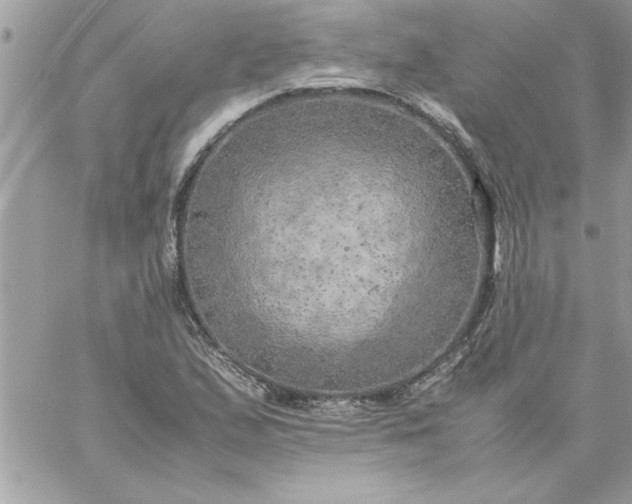 X0000059231167200510281858