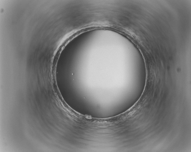 X0000059231168200510281858