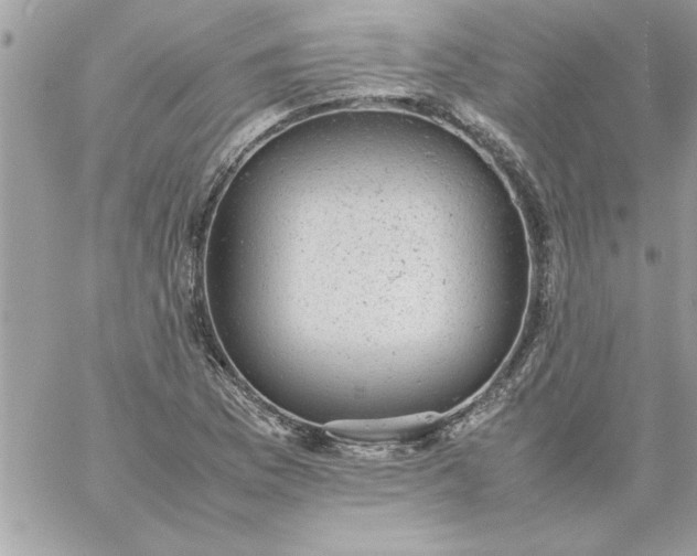 X0000059231169200510281858