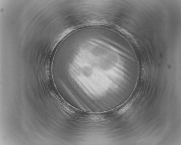 X0000059231170200510281858