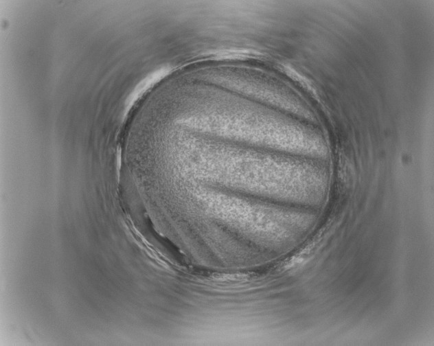 X0000059231171200510281858