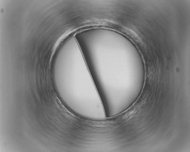 X0000059231172200510281858