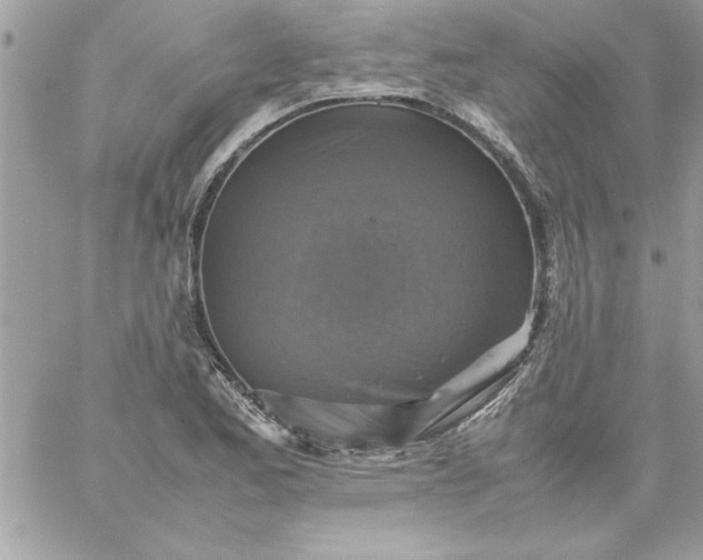 X0000059231173200510281858