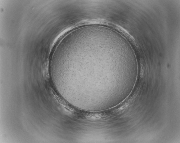 X0000059231174200510281858