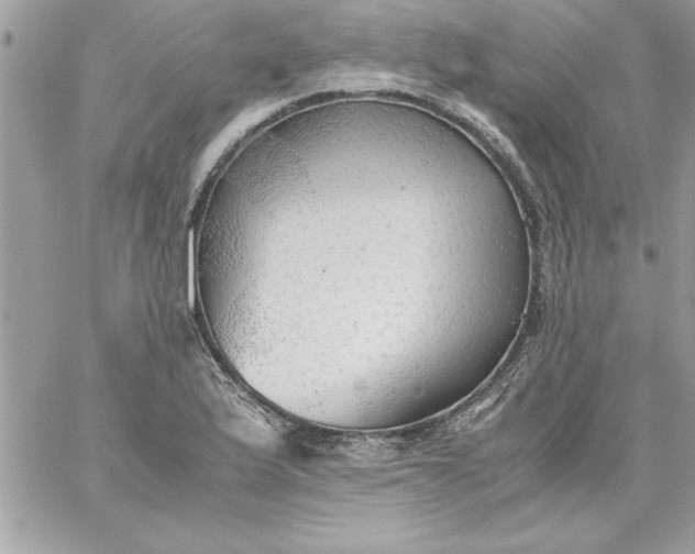 X0000059231175200510281858