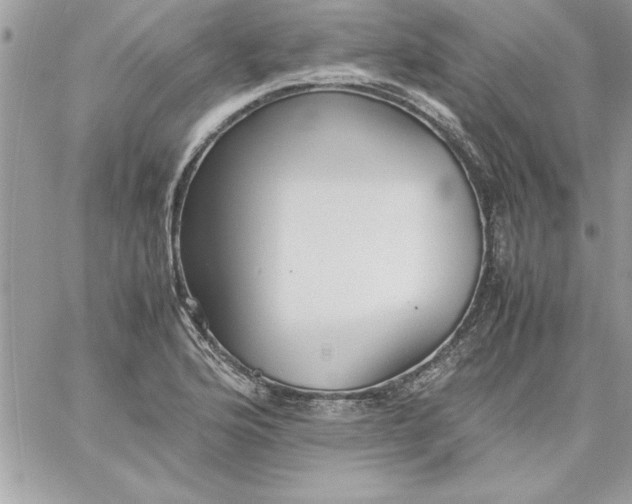 X0000059231176200510281858