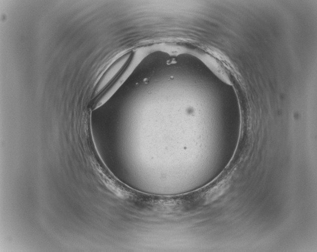 X0000059231177200510281858