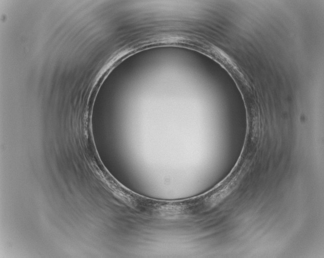 X0000059231178200510281858