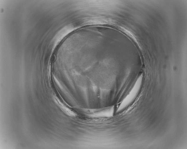 X0000059231179200510281858