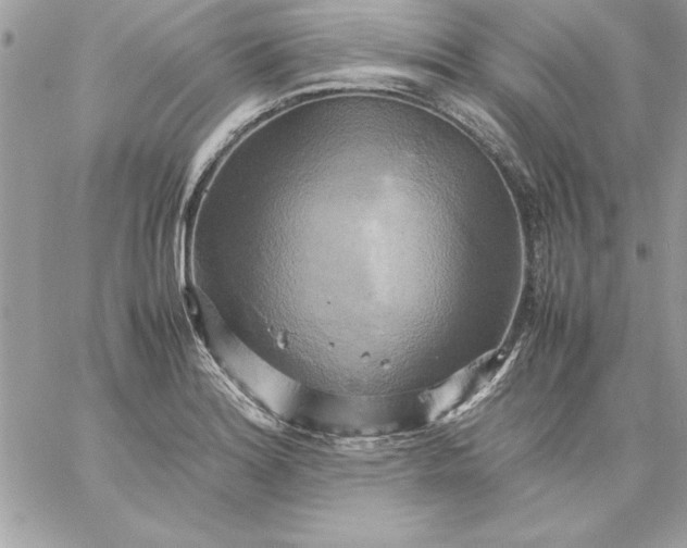 X0000059231180200510281858