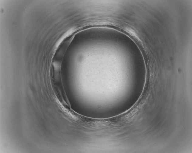 X0000059231181200510281858