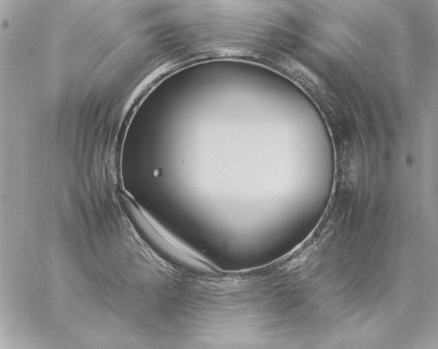 X0000059231182200510281858