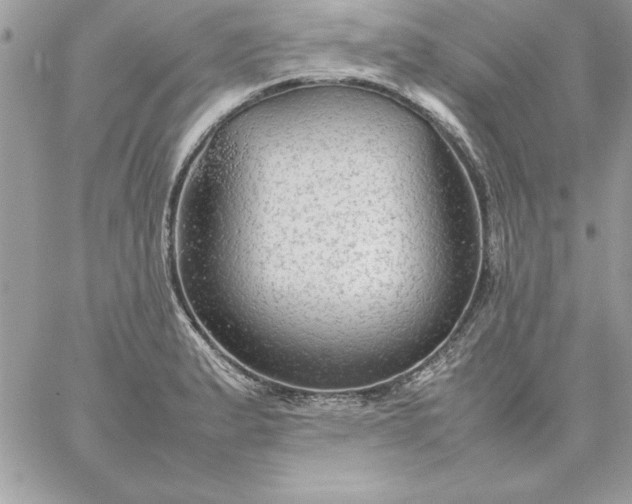 X0000059231183200510281857