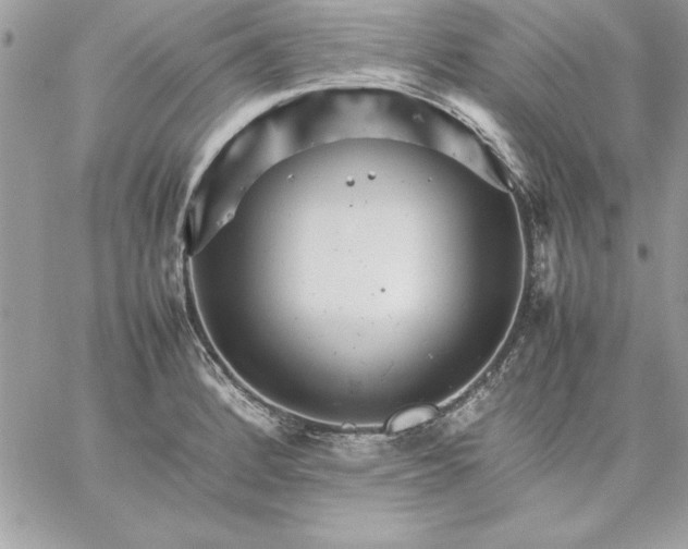 X0000059231184200510281857