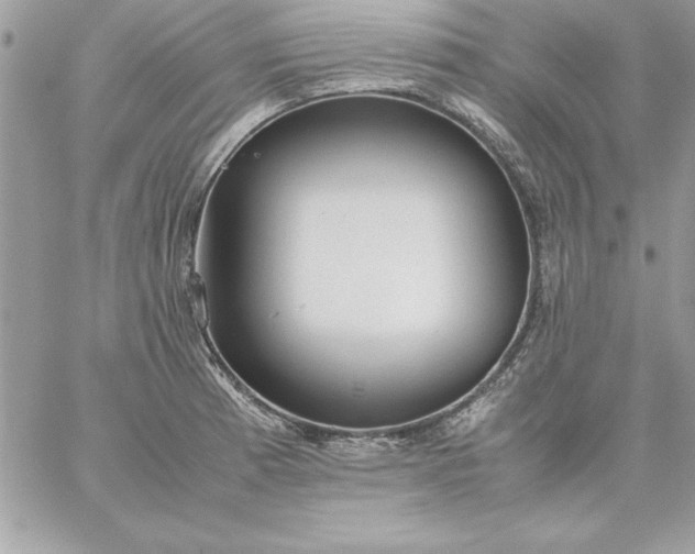 X0000059231185200510281857