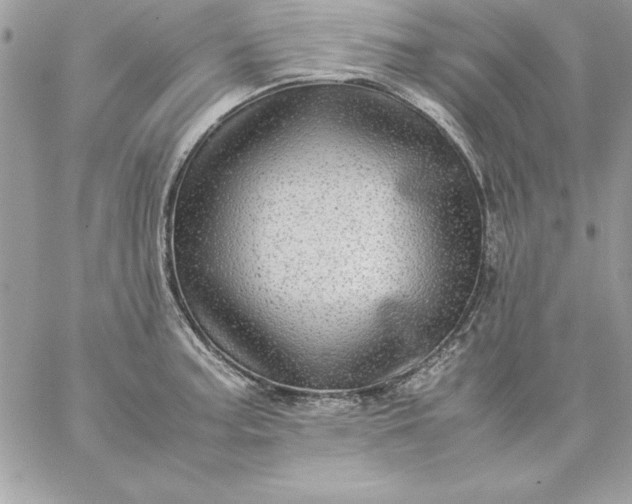 X0000059231187200510281857