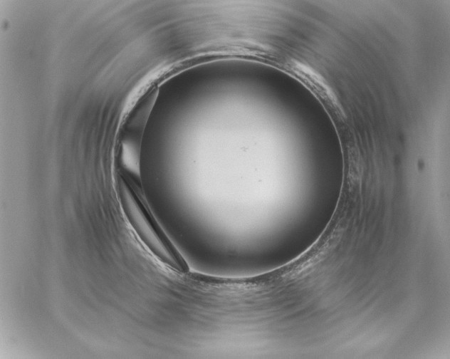 X0000059231188200510281857