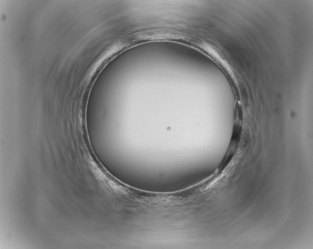 X0000059231189200510281857