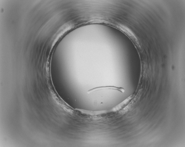 X0000059231190200510281857