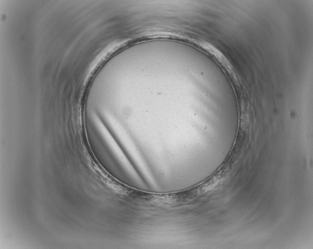 X0000059231191200510281857