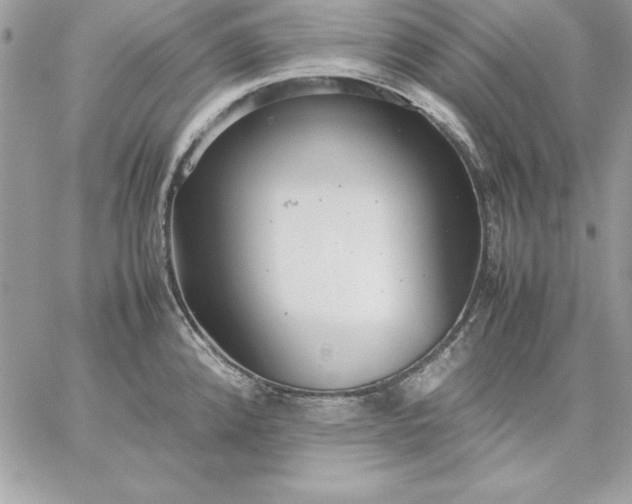 X0000059231192200510281857