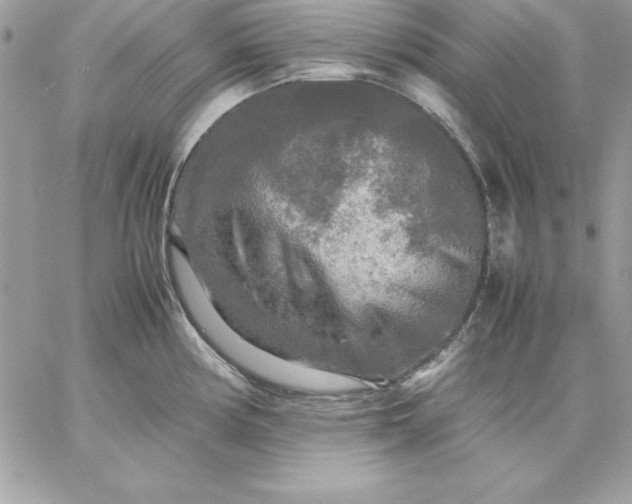 X0000059231194200510281857