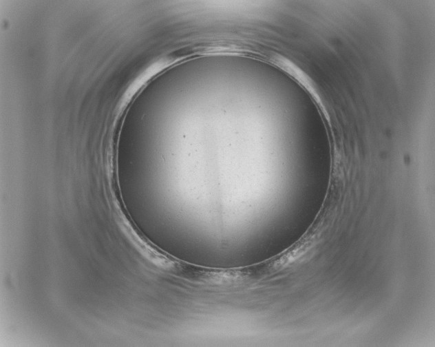 X0000059231195200510281857