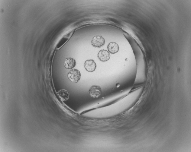 X0000059231197200510281857