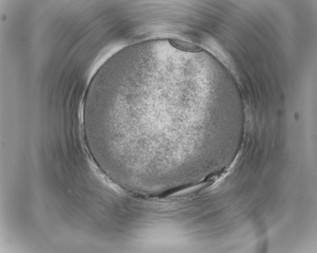 X0000059231198200510281857